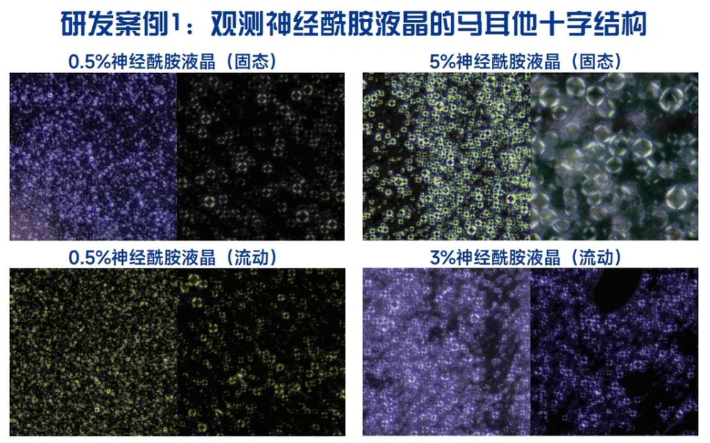 2025 PCHi Summit ends | Landivine’s molecular intelligent assembly technology has been implemented to reshape the new benchmark for functional raw materials
