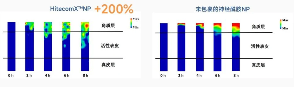 2025 PCHi Summit ends | Landivine’s molecular intelligent assembly technology has been implemented to reshape the new benchmark for functional raw materials