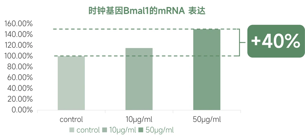 When Musk’s “life clock” shines into skin care: RunR™ Time-Space Dendrobium unlocks a new paradigm of rhythmic skin care