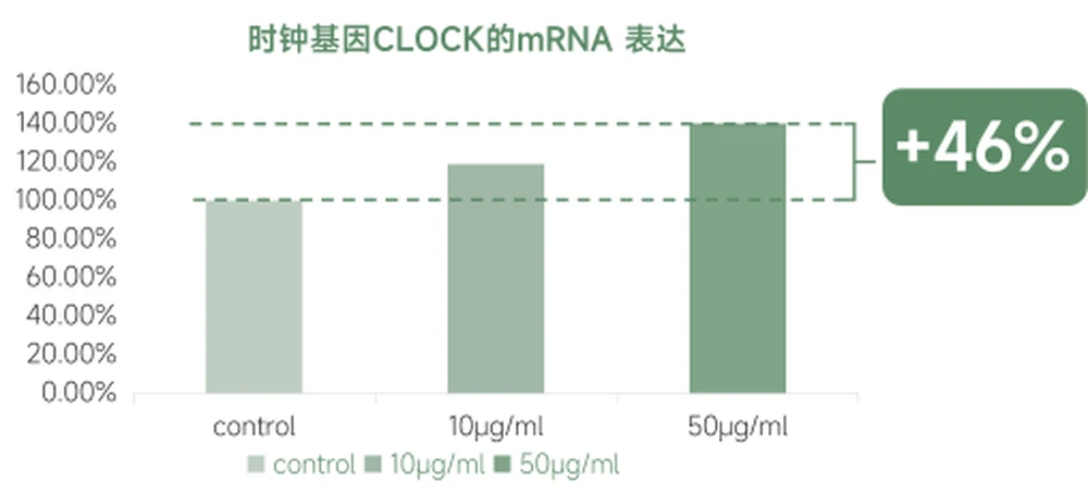 When Musk’s “life clock” shines into skin care: RunR™ Time-Space Dendrobium unlocks a new paradigm of rhythmic skin care