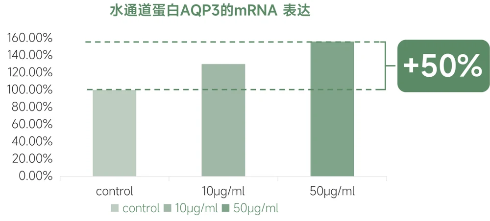 When Musk’s “life clock” shines into skin care: RunR™ Time-Space Dendrobium unlocks a new paradigm of rhythmic skin care