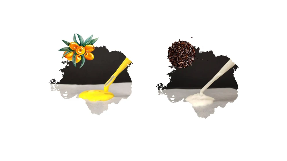 Professor Li Li’s team from Landivine Research Institute published sea buckthorn oil highly stable microencapsulation technology in Frontiers in Nutrition magazine