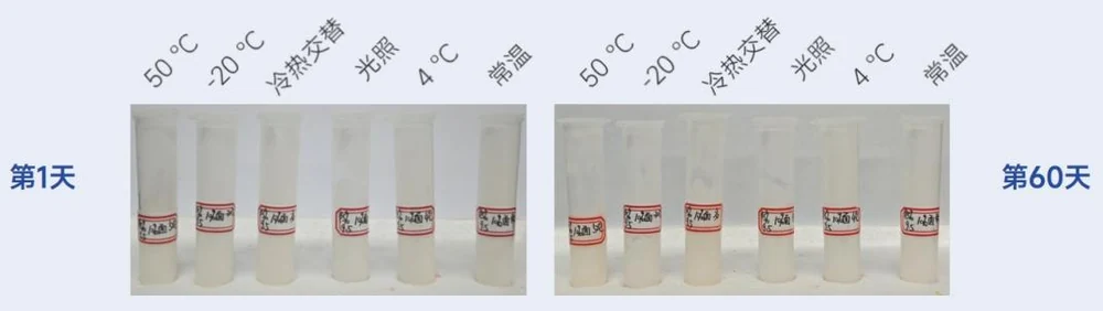 HitecomX™NP: Using dual delivery advanced technology to solve the application dilemma of ceramides
