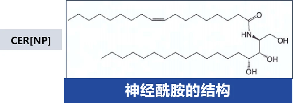 HitecomX™NP: Using dual delivery advanced technology to solve the application dilemma of ceramides