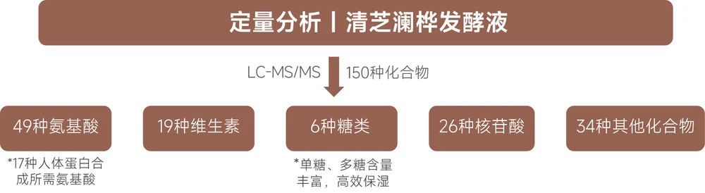 Mobius8™ Qingzhi Lanhua: microbiome + anti-glycation dual pathways, unlocking the new code of scientific anti-aging