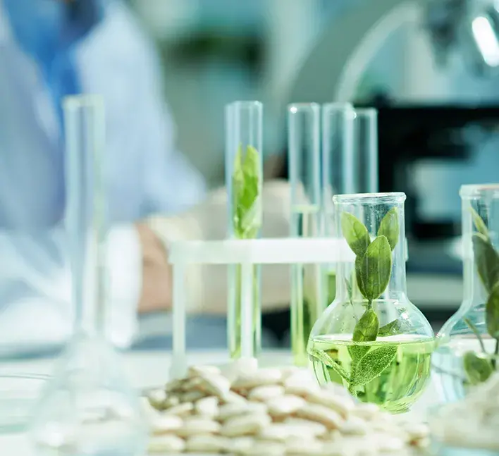 Collaboration between industry, <br>academia and research and talent cultivation